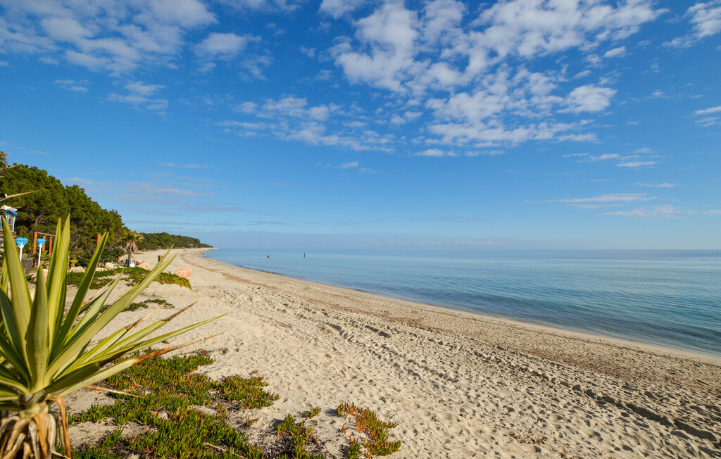 Kuća-za-odmor - Prunelli di Fiumorbo , Francuska - FKO650 30