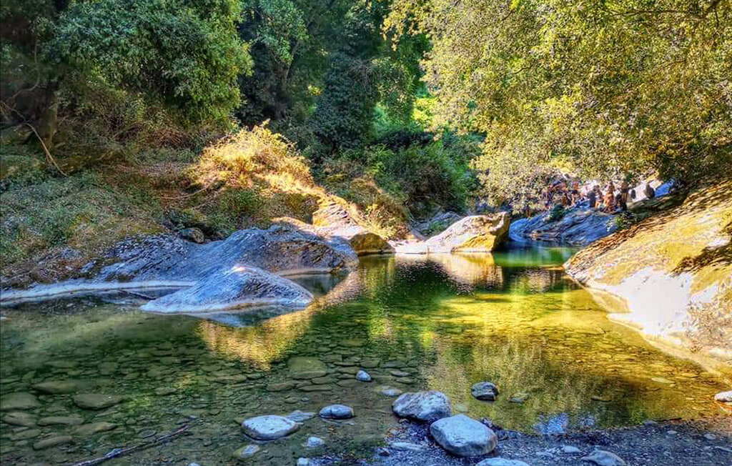 Domy wakacyjne - Casamozza , Francja - FKO652 19