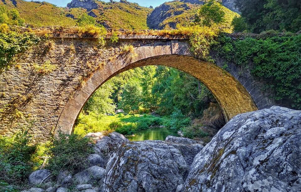 Domy wakacyjne - Casamozza , Francja - FKO652 20