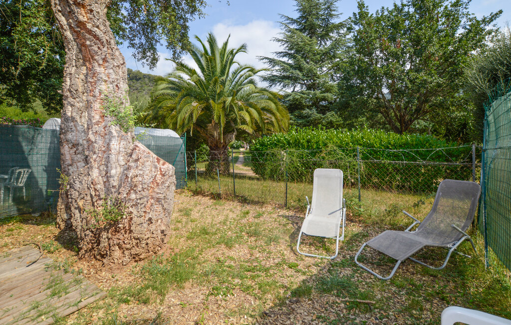 Domy wakacyjne - Casamozza , Francja - FKO652 10