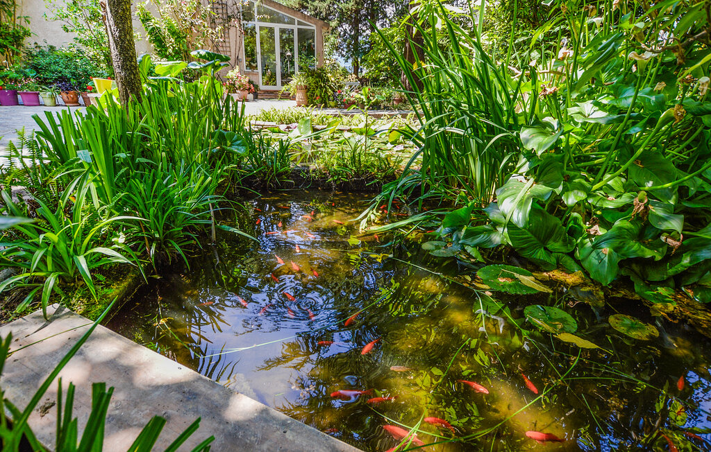Ferienwohnung - Bastia , Frankreich - FKO699 9