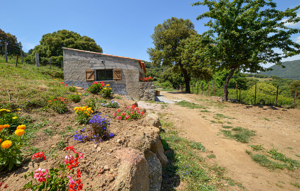 Breng een heerlijke vakantie door in dit vriendelijke vakantiehuis met adembenemend uitzicht op de bergen.

Verheug je op je verblijf in dit moderne vakantiehuis, dat ooit een schaapskooi was. Arrivee..