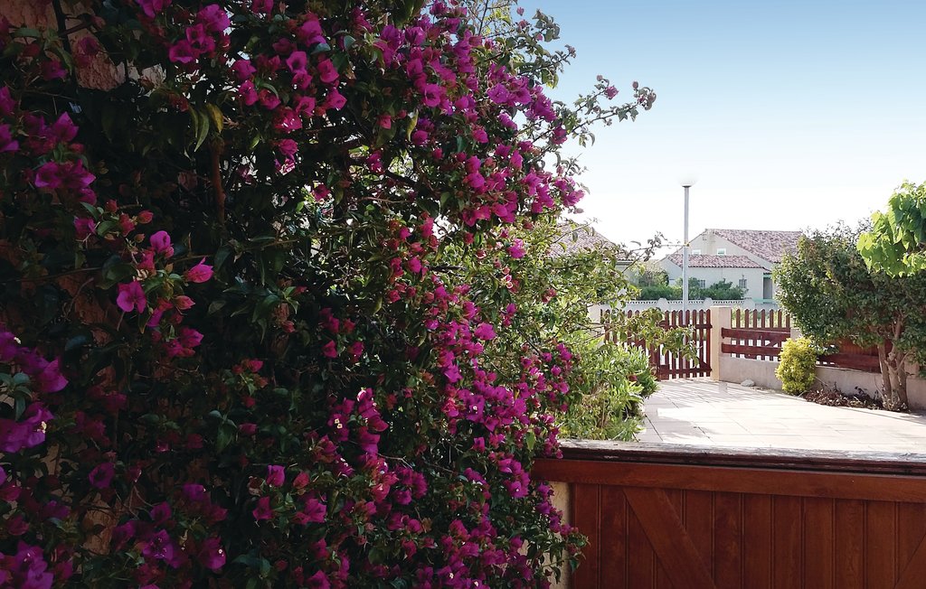 Ferienhaus - Port La Nouvelle , Frankreich - FLA179 10