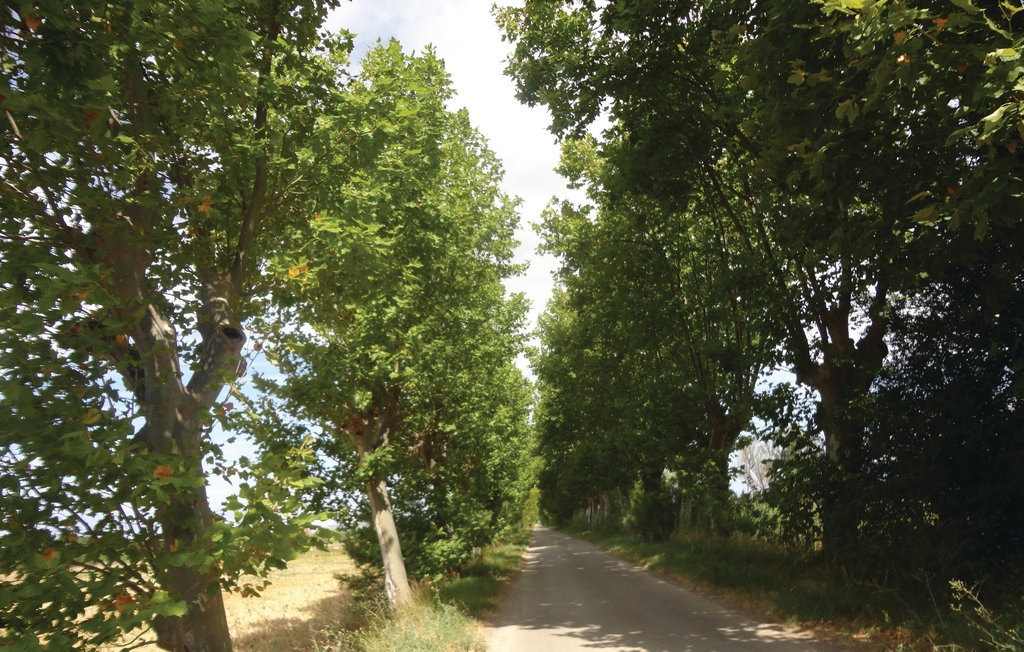 Feriehuse - Narbonne , Frankrig - FLA147 10