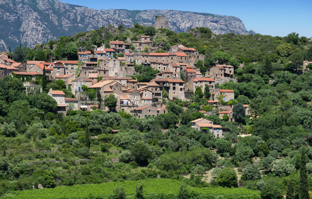 Semesterhus - Saint Laurent de la Cabrerisse , Frankrike - FLA314 28
