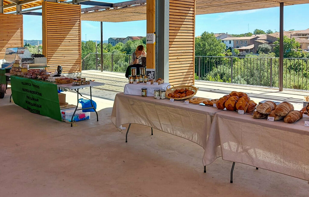 Semesterhus - Saint Laurent de la Cabrerisse , Frankrike - FLA314 35