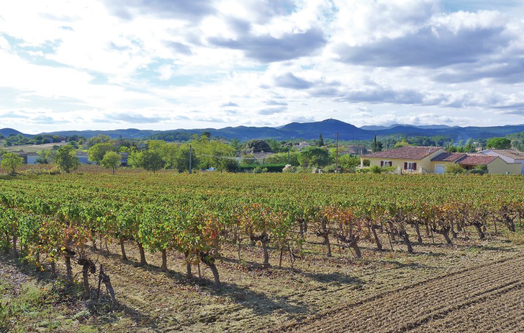 Feriehuse - St-Privat-des-Vieux , Frankrig - FLG255 36