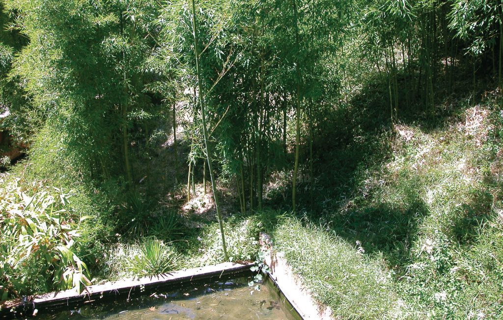 Feriehuse - Anduze , Frankrig - FLG075 41