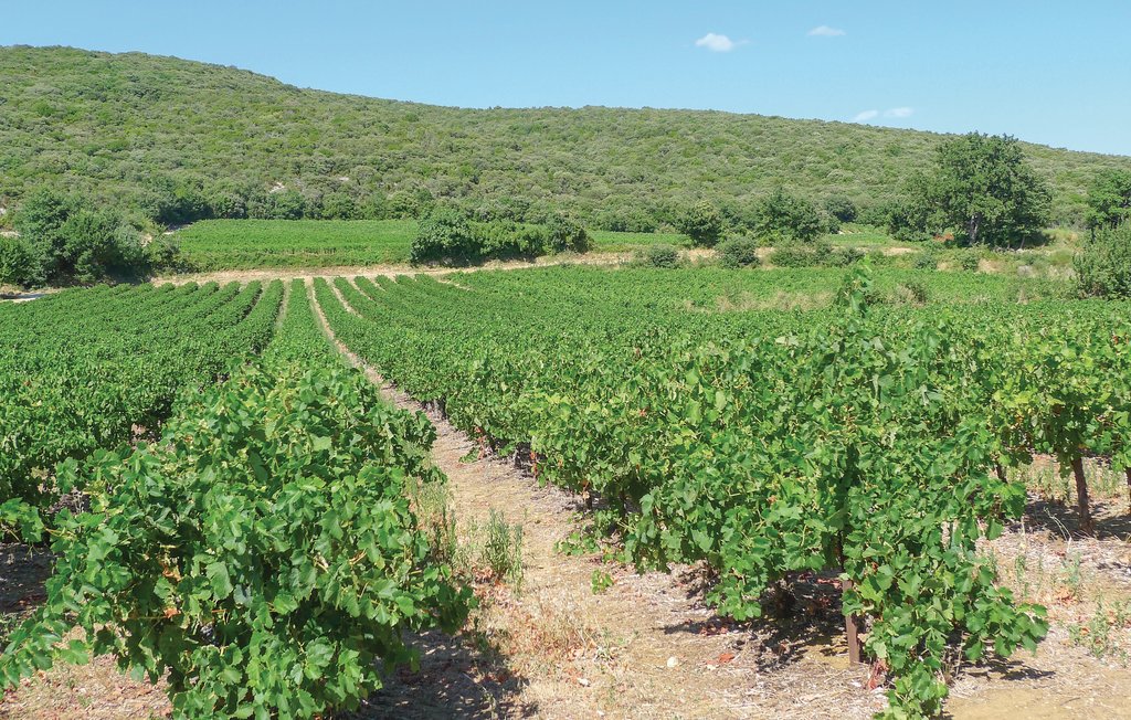 Ferienhaus - Barjac , Frankreich - FLG434 22