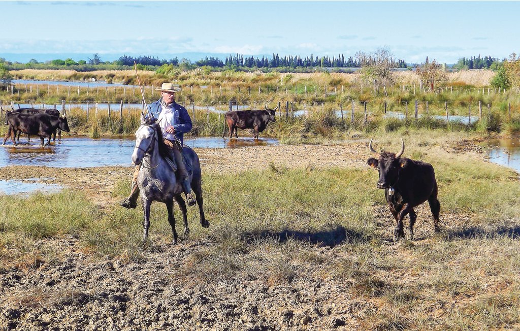 Ferienhaus - Aigues-Mortes , Frankreich - FLG521 31