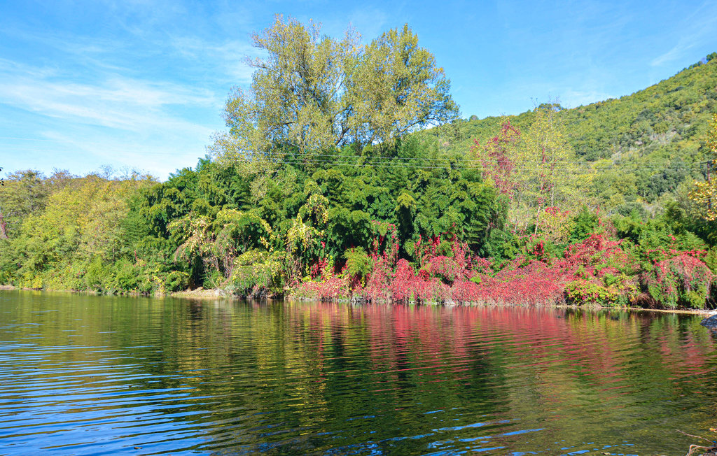 Feriehuse - Bordezac , Frankrig - FLG136 21