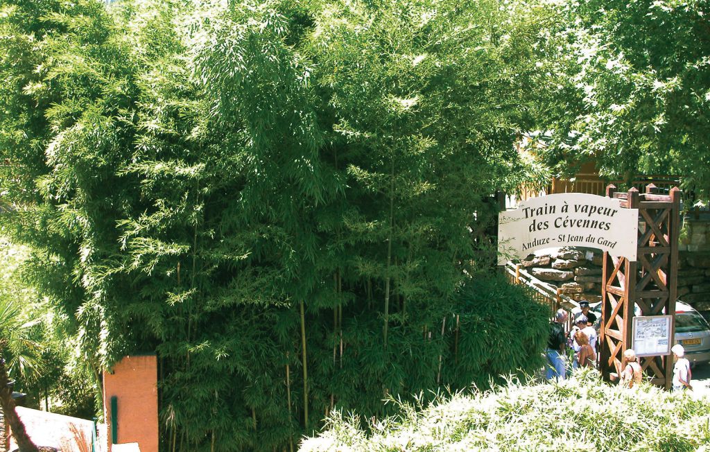 Feriehuse - Anduze , Frankrig - FLG075 40