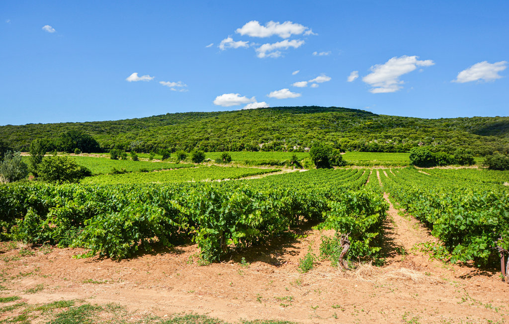 Ferienhaus - Baron , Frankreich - FLG215 38