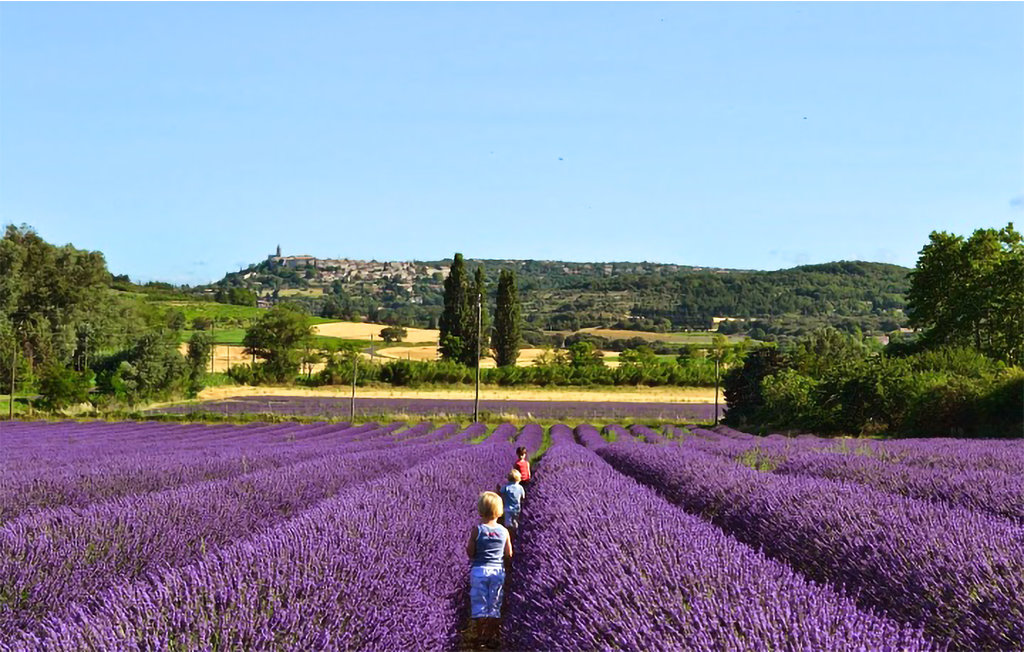 Location de vacances - Saint-Laurent-des-Arbres , France - FLG692 30