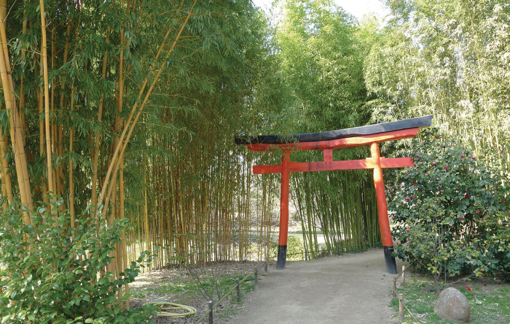 Feriehuse - St-Privat-des-Vieux , Frankrig - FLG255 39