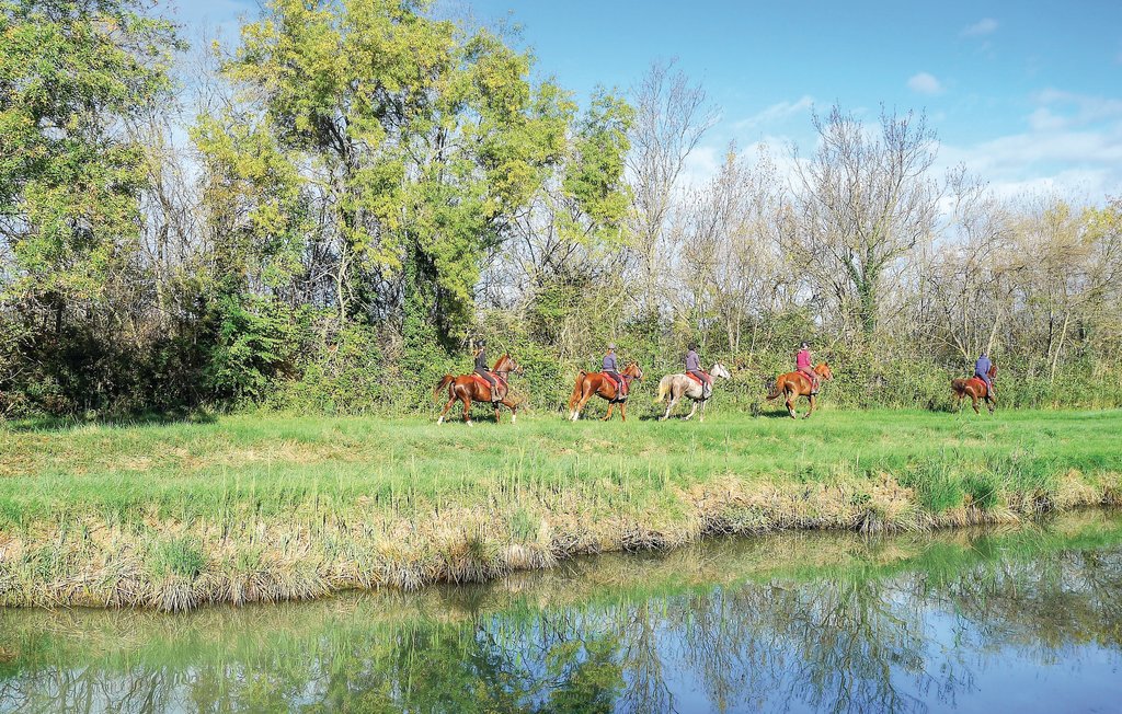 Ferienhaus - Aigues-Mortes , Frankreich - FLG521 29