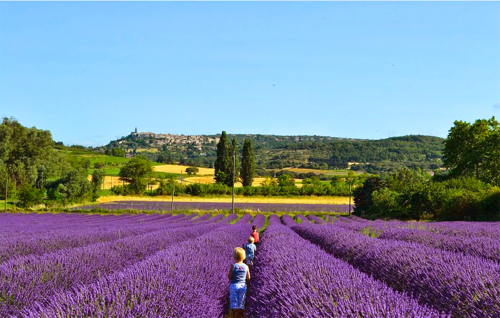 Ferienwohnung - Pont-St-Esprit , Frankreich - FLG682 8