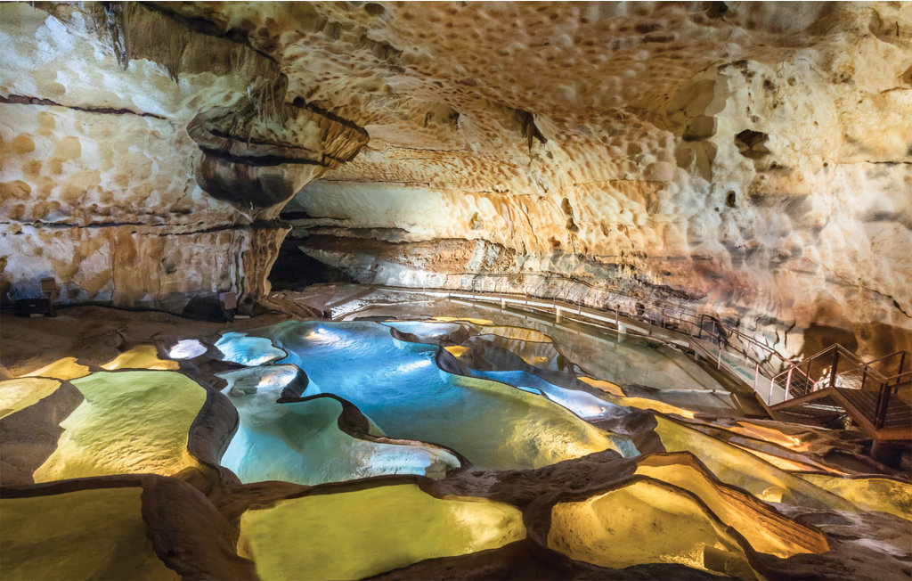 Location de vacances - Saint-Laurent-des-Arbres , France - FLG692 31