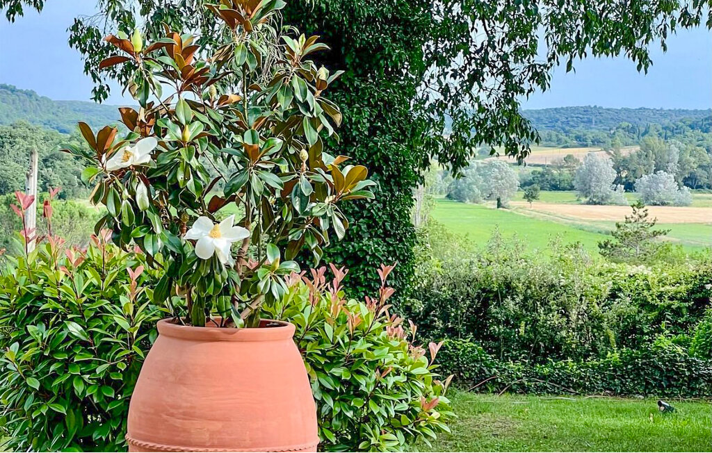 Location de vacances - Lussan , France - FLG853 26