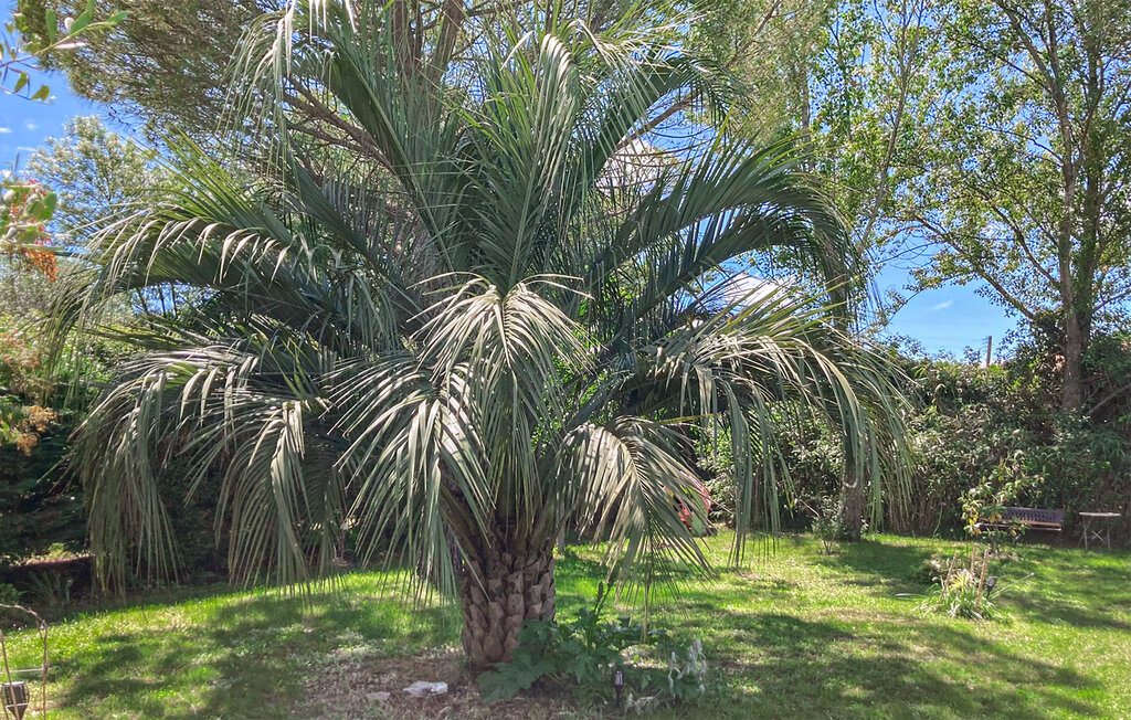 Feriehuse - St-Privat-des-Vieux , Frankrig - FLG255 15