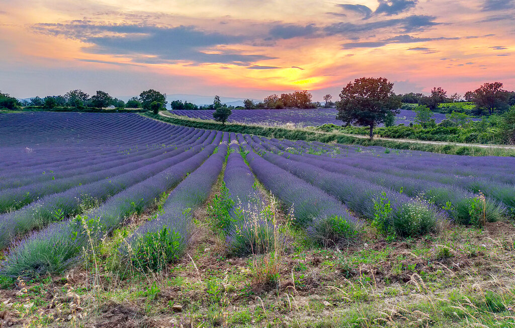 Ferienhaus - Barjac , Frankreich - FLG434 23