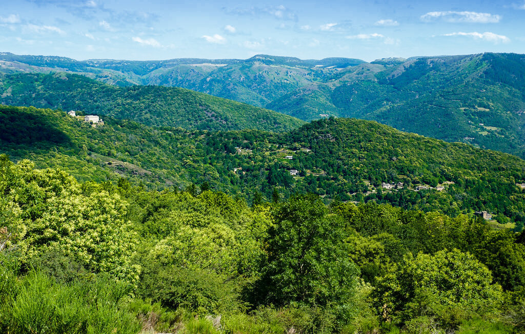 Location de vacances - Anduze , France - FLG994 31