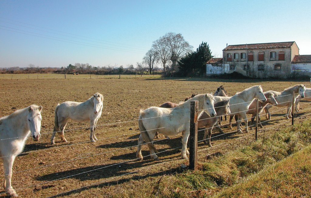 Ferienhaus Calvisson (FLG453)