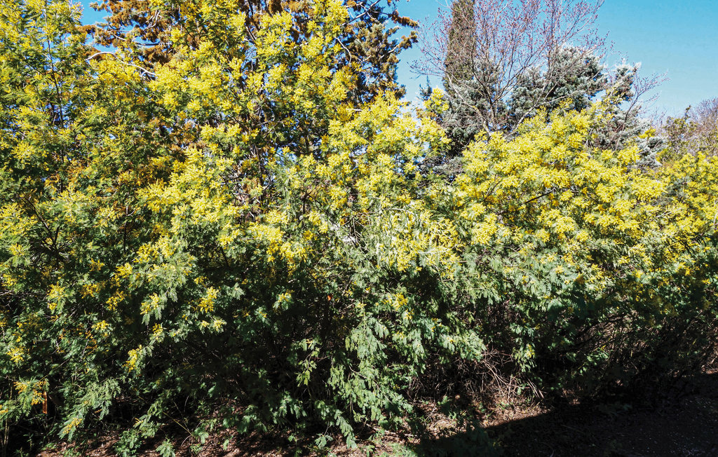 Feriehuse - Beziers , Frankrig - FLH310 16