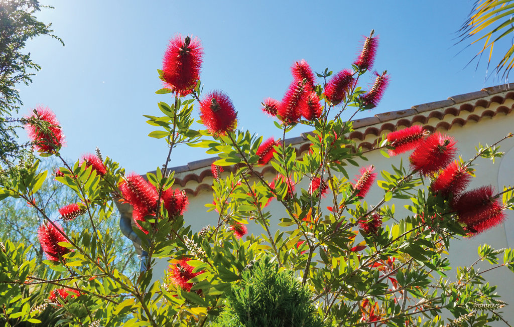 Feriehuse - Beziers , Frankrig - FLH310 28