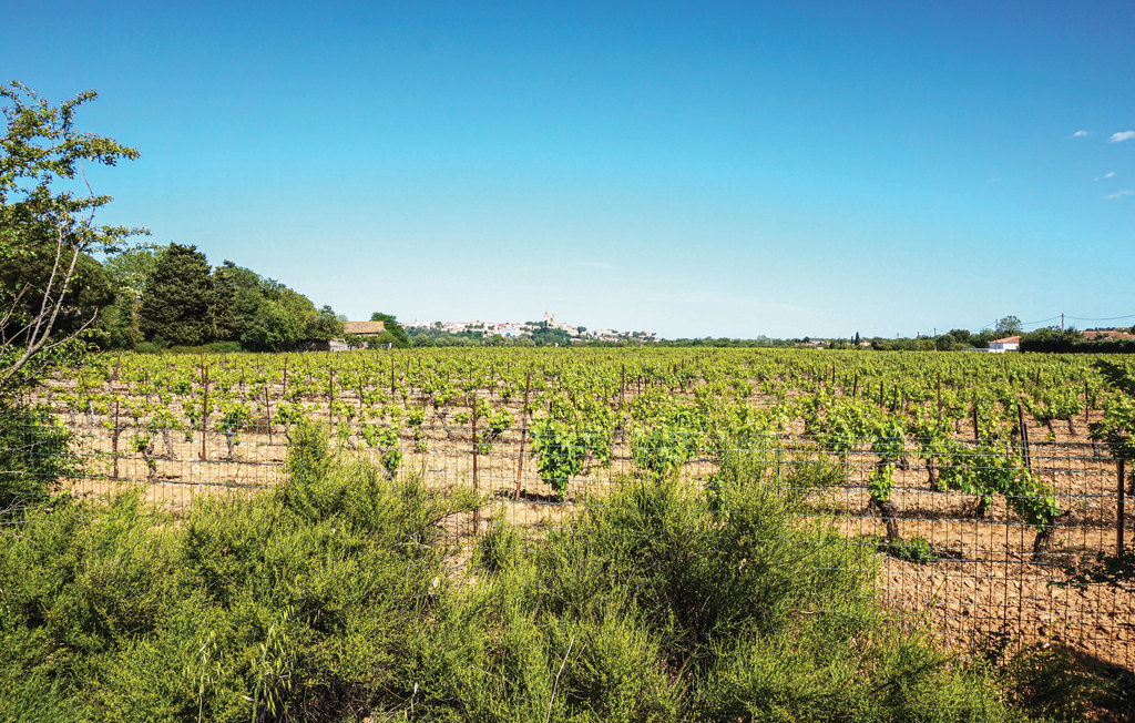 Feriehuse - Beziers , Frankrig - FLH310 8