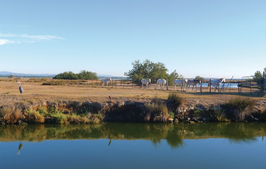 Location de vacances - Villeneuve-lès-Maguelone , France - FLH223 30