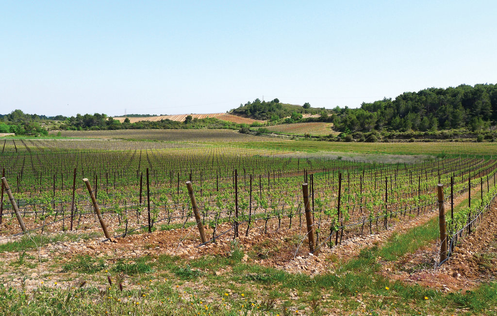 Semesterhus - Agde , Frankrike - FLH193 41
