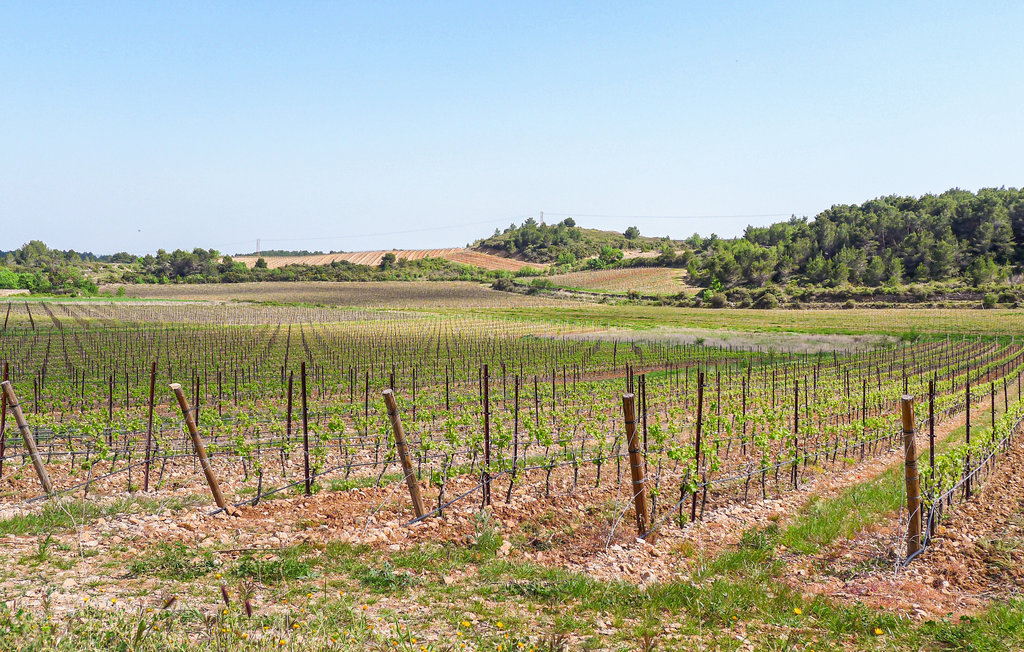 Ferienhaus - Valras Plage , Frankreich - FLH534 33