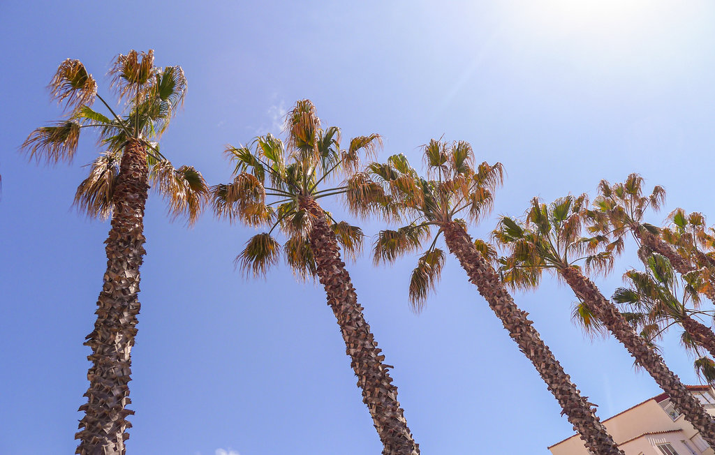 Ferienhaus - Valras Plage , Frankreich - FLH534 35