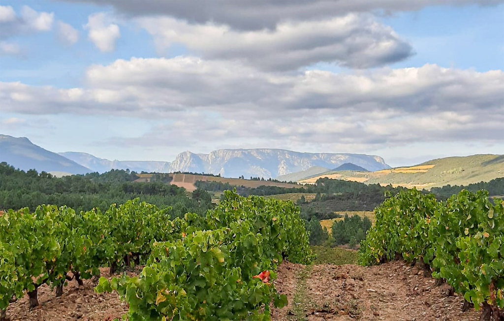 Feriehuse - Prades sur Vernazobre , Frankrig - FLH309 20