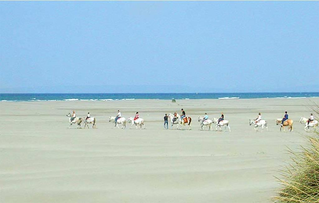 Ferienhaus - Aigues-Vives , Frankreich - FLH517 48