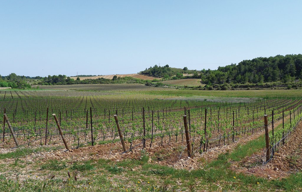 Ferienhaus - Thezan-les-Béziers , Frankreich - FLH166 32