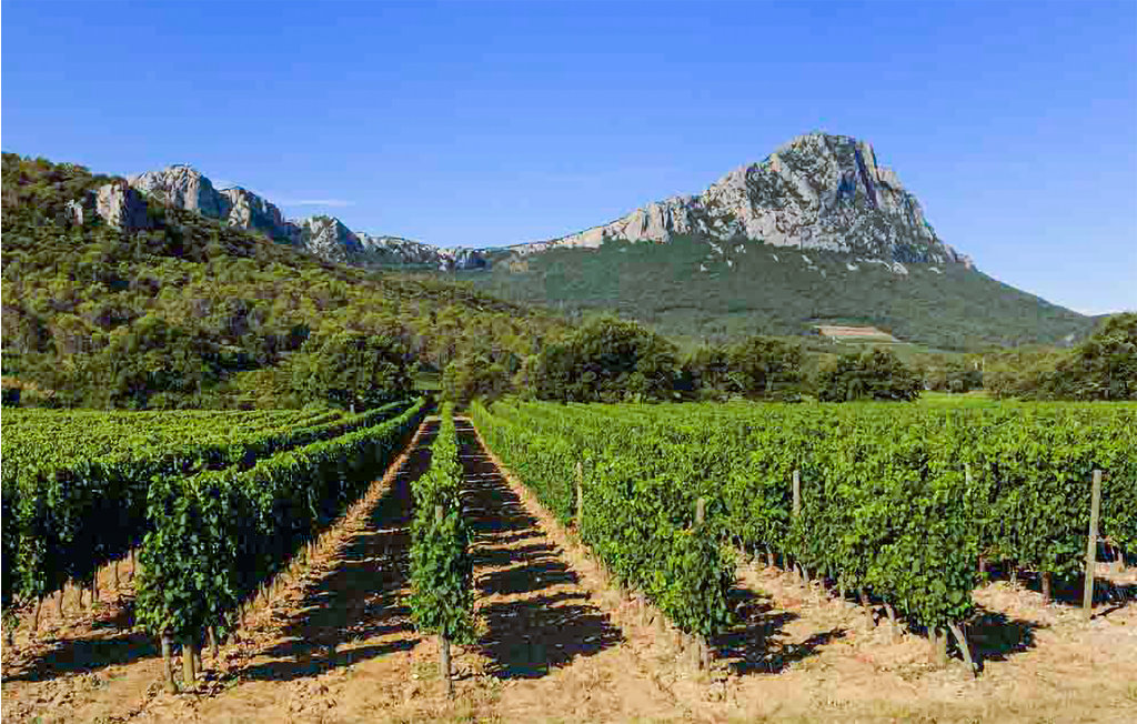 Ferienwohnung - Sussargues , Frankreich - FLH525 15