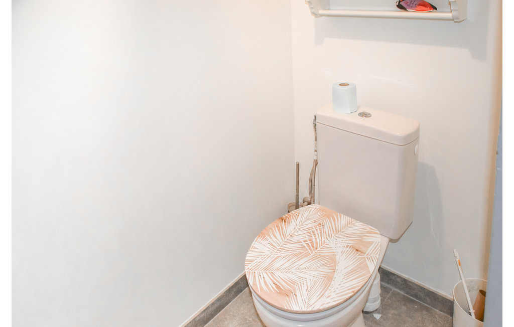 Ferienhaus - Sussargues , Frankreich - FLH375 37