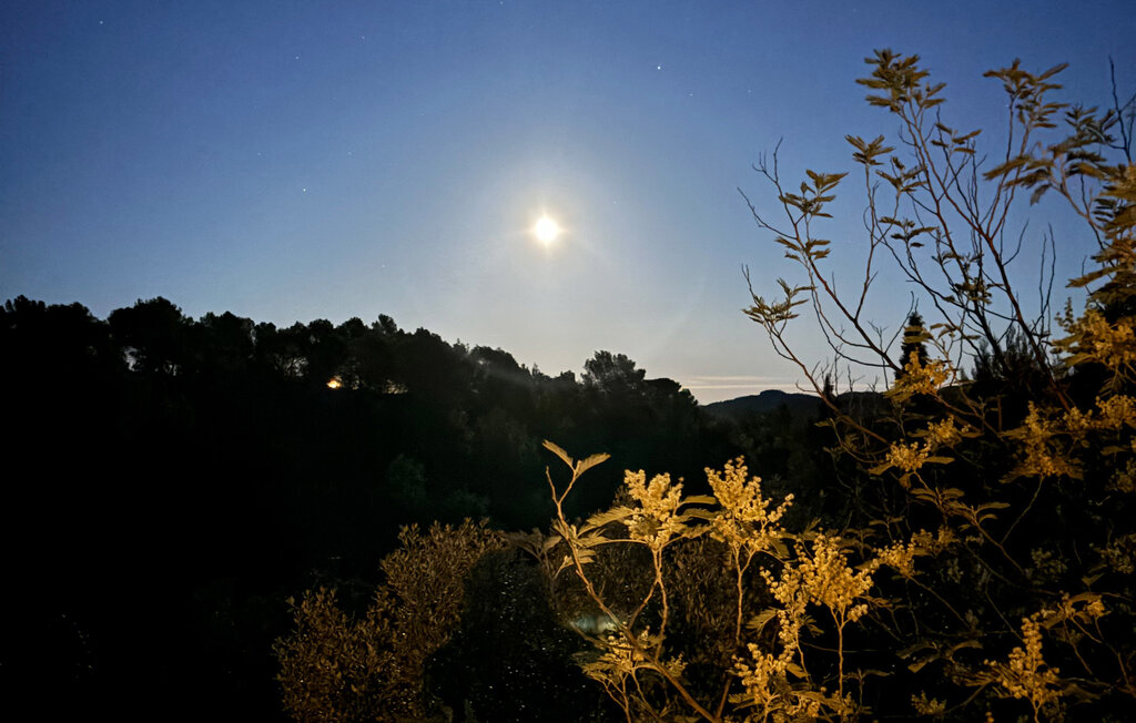 Feriehuse - Prades sur Vernazobre , Frankrig - FLH309 13