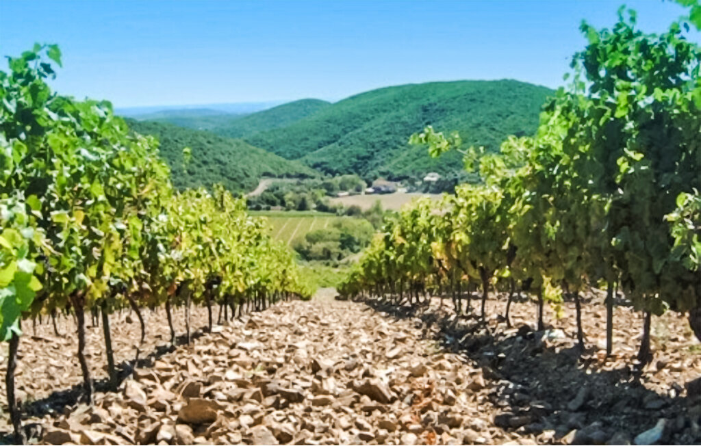 Location de vacances - Cabrerolles , France - FLH629 7