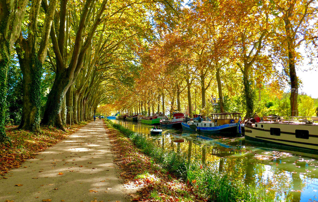 Ferienhaus - Puimisson , Frankreich - FLH417 22