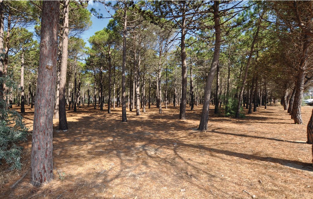 Feriehus - Baixas , Frankrike - FLP157 31