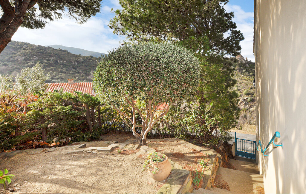 Feriehuse - Collioure , Frankrig - FLP259 6