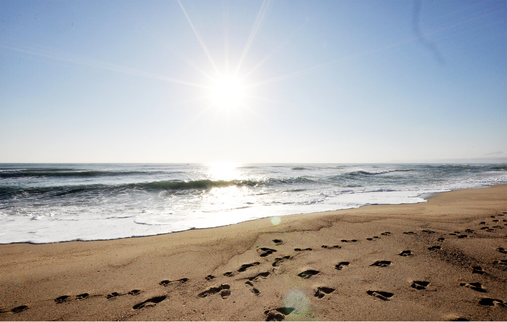 Ferieleilighet - Canet Plage , Frankrike - FLP264 8