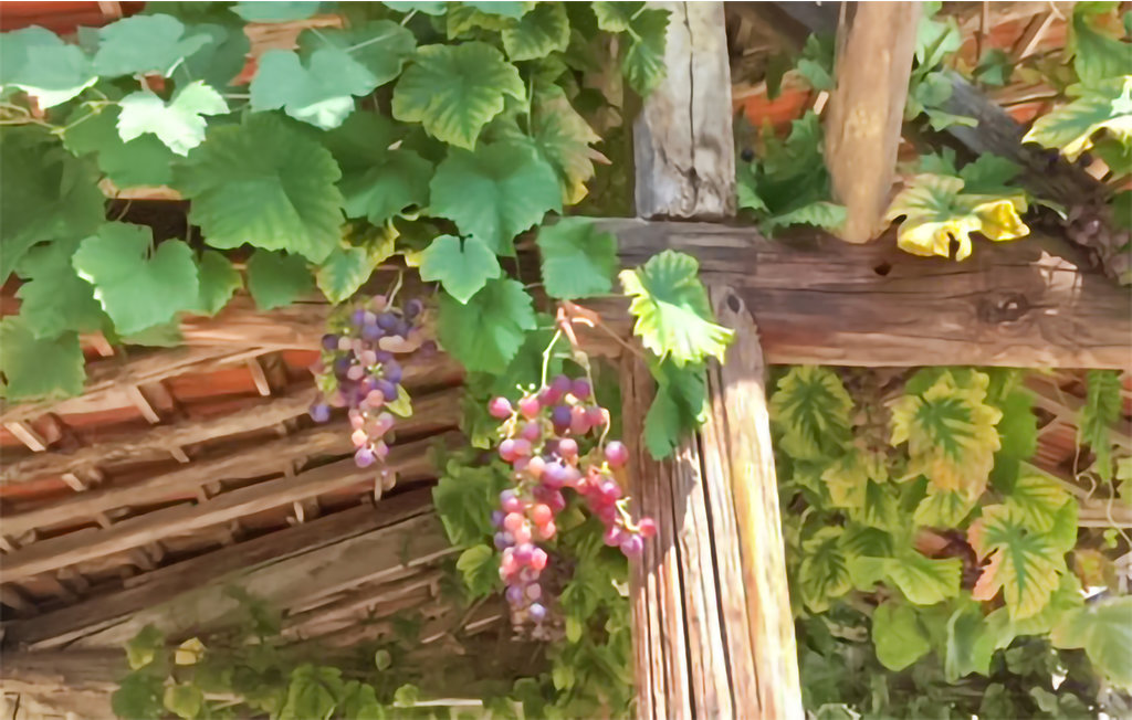 Semesterhus - Monfaucon , Frankrike - FMP011 11