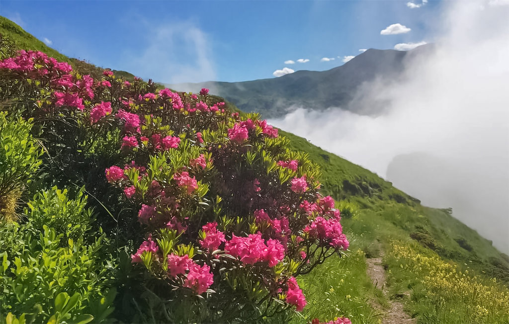Ferienwohnung - Saint Lary Soulan , Frankreich - FMP025 12