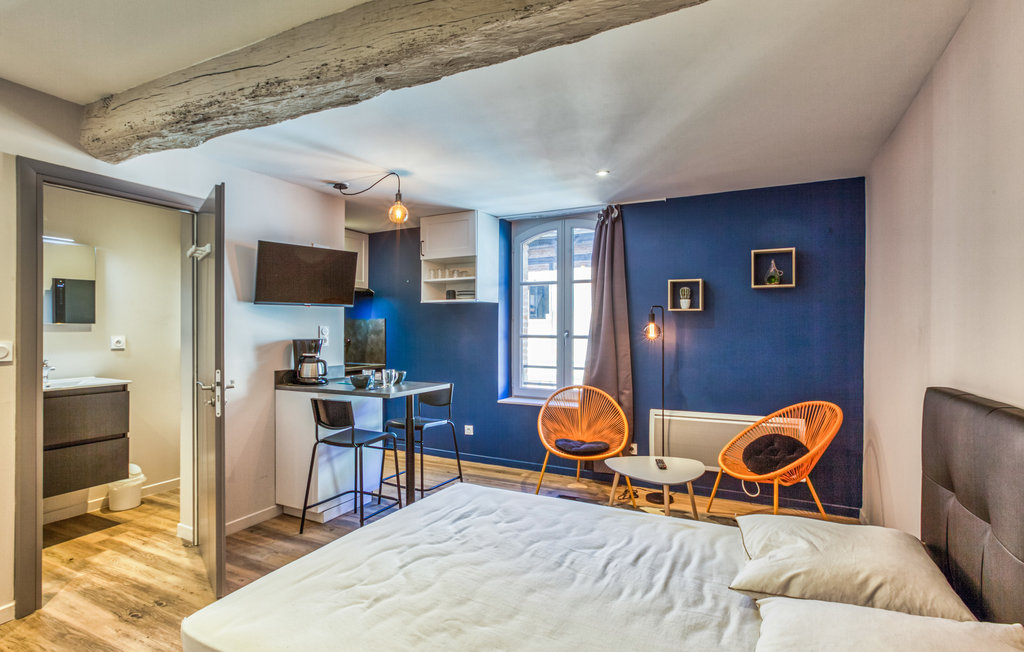 Ferieleilighet - Albi , Frankrike - FMT028 2