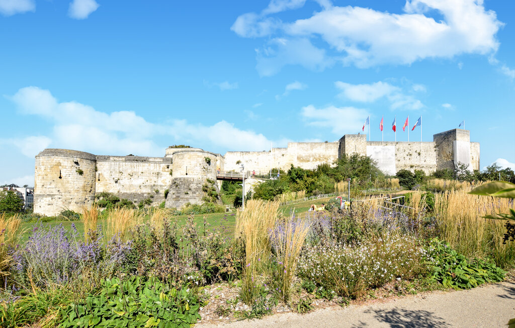 Kuća-za-odmor - Castillon , Francuska - FNC290 25