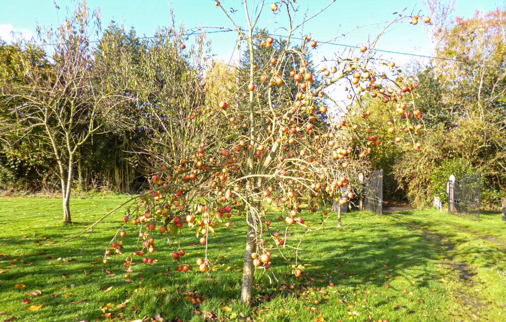 Ferienhaus - Honfleur , Frankreich - FNC071 11